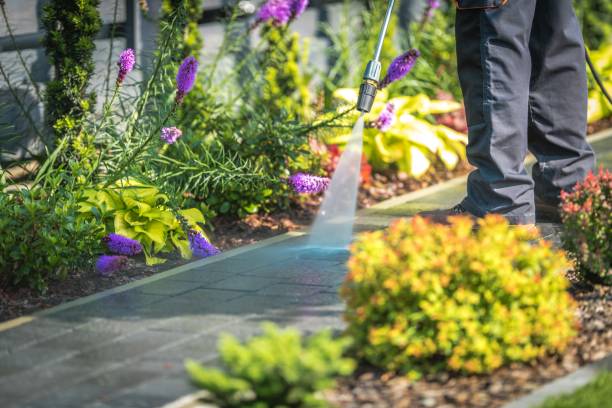 Best Parking Lot and Garage Cleaning  in Romeo, MI